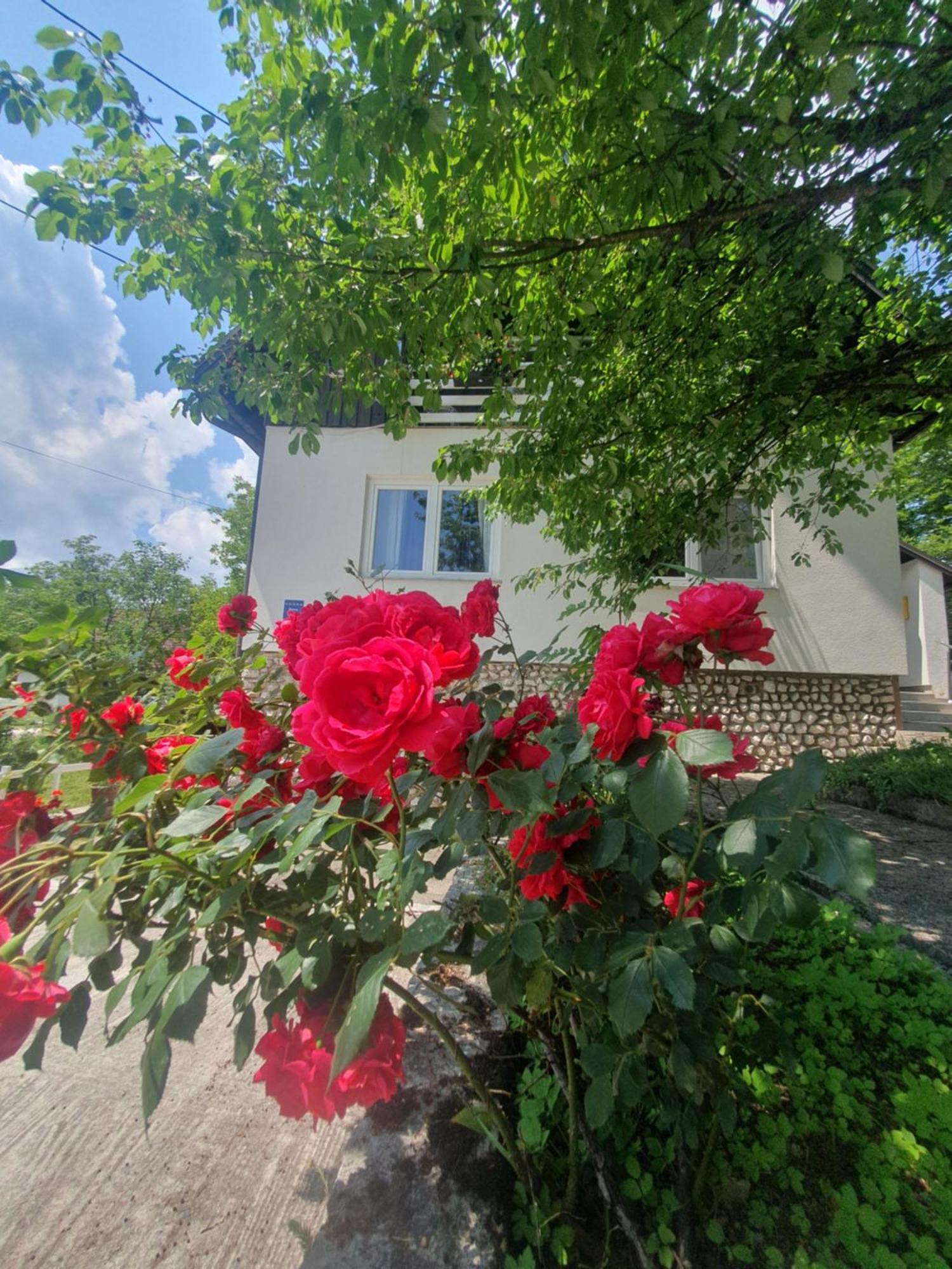 Guesthouse Nikola Plitvická jezera Exteriér fotografie