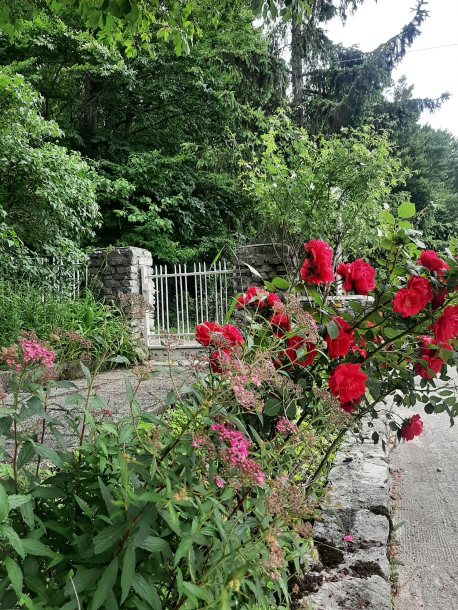 Guesthouse Nikola Plitvická jezera Exteriér fotografie