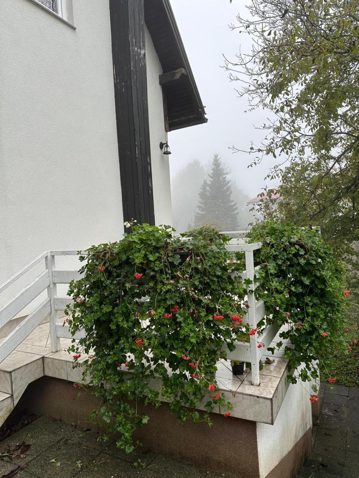 Guesthouse Nikola Plitvická jezera Exteriér fotografie