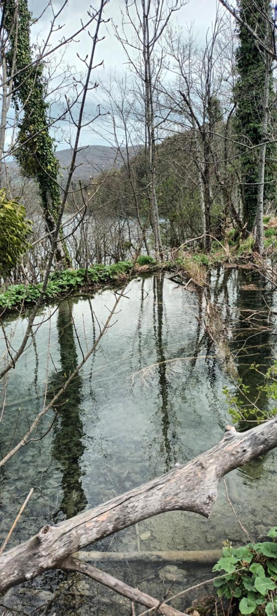 Guesthouse Nikola Plitvická jezera Exteriér fotografie